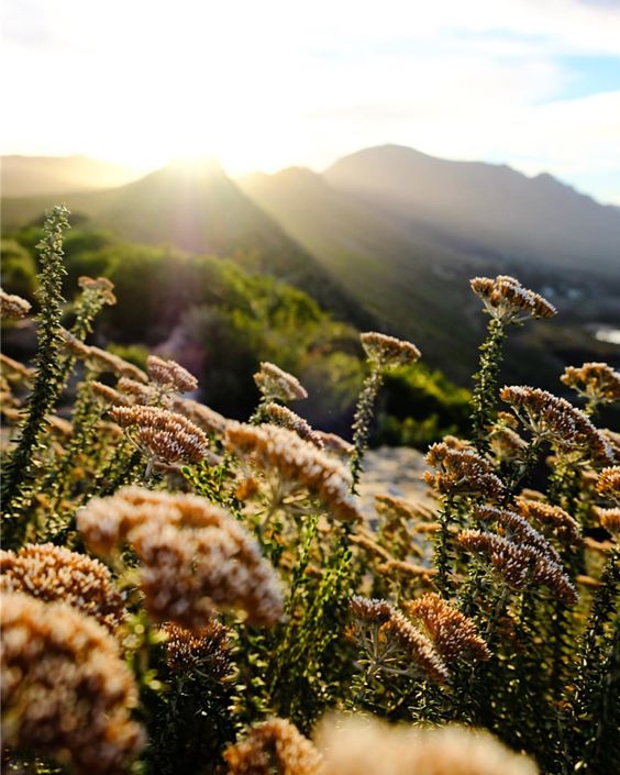Where Wild Meets Wonder